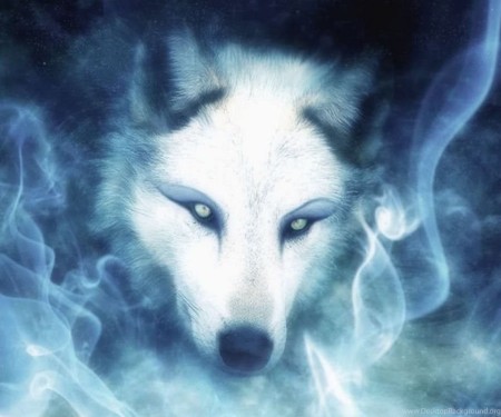 Wolf 🇨🇦 🔥🐺🔥🇨🇦